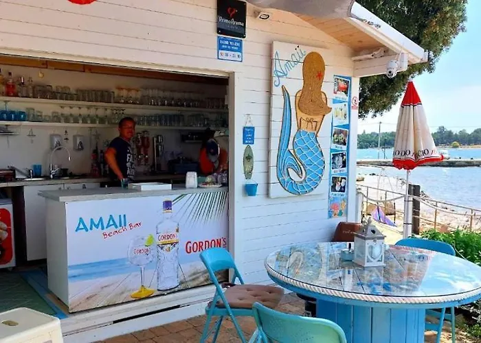 App Rebecca - Private Pool Brtonigla